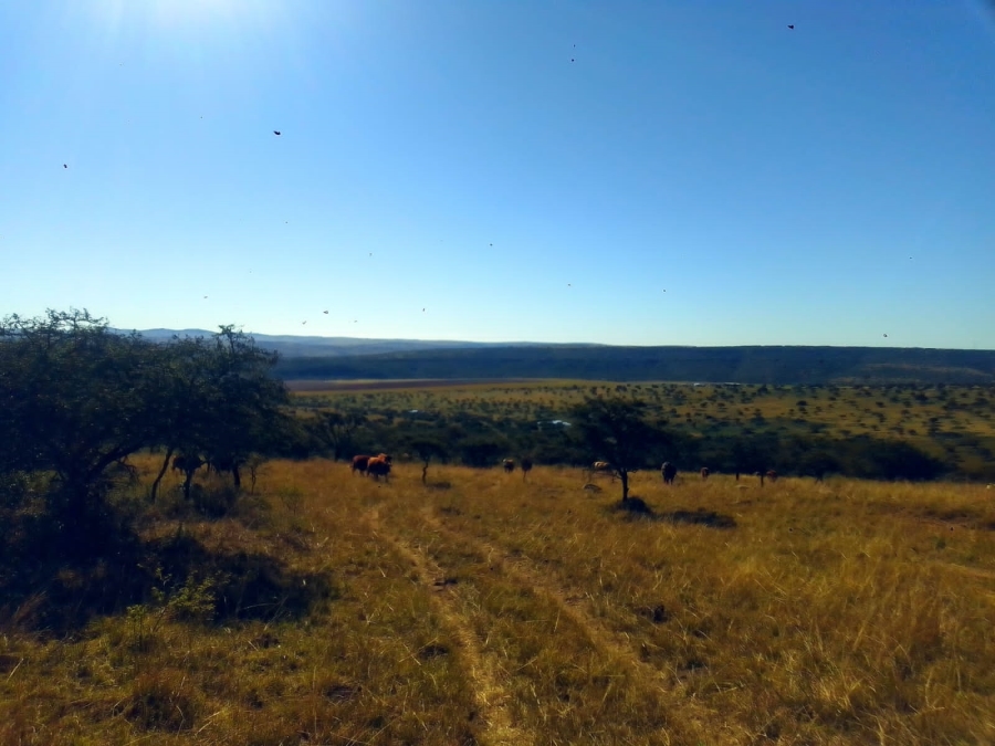 0 Bedroom Property for Sale in Stutterheim Rural Eastern Cape